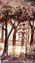 Paisaje