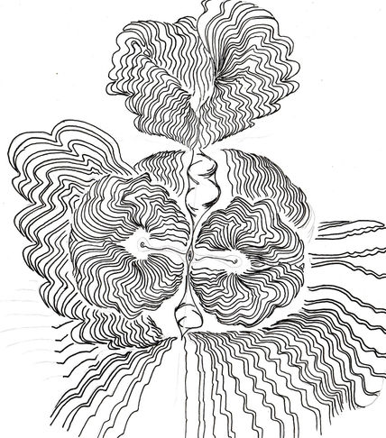 Meditacion