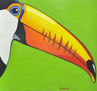 Tucan Pop II