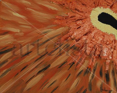 Bearded vulture