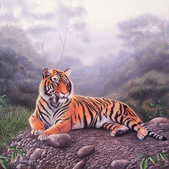 Territorio salvaje Oil Canvas Animals