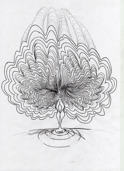 Pavo
