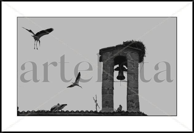 Nido.