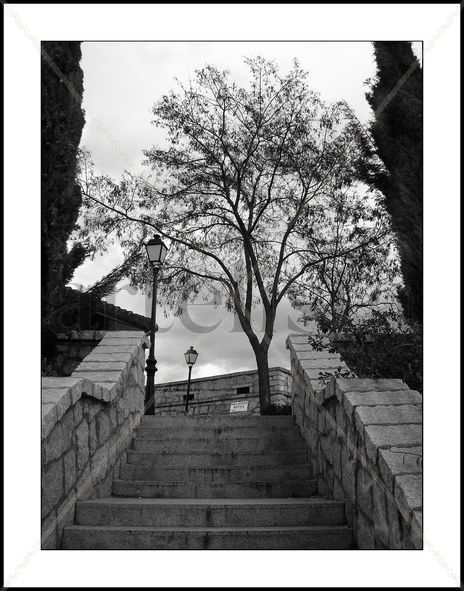 Tarde Gris,