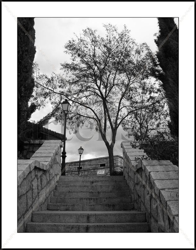 Tarde Gris,