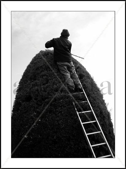 La poda. Photojournalism and Documentary Black and White (Digital)