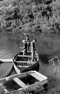 Tarde de pesca