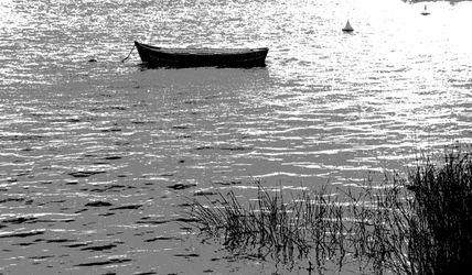 Quietud.