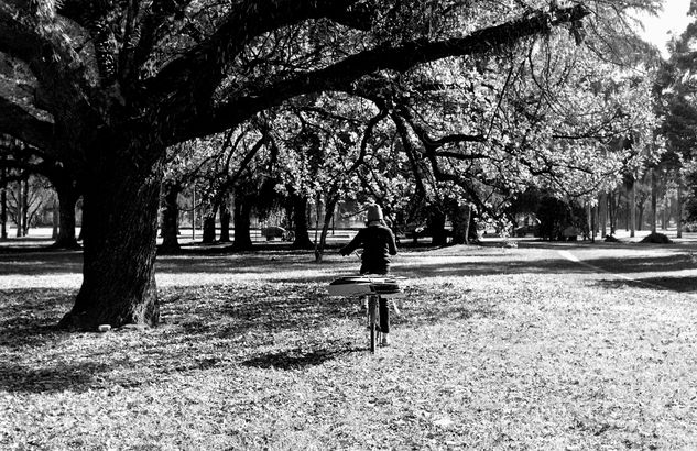 En el parque. 