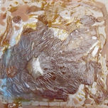 tastets 2010 thumbnail 1