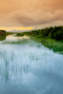 Albufera