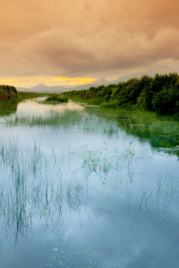 ALBUFERA Naturaleza Color (Digital)