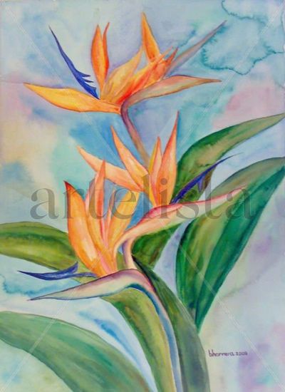 Aves del Paraiso Watercolour Paper Floral Painting