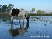 Reflejos 3