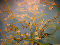 Ramas de almendro en flor (Van Gogh)
