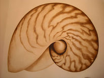 Nautilus