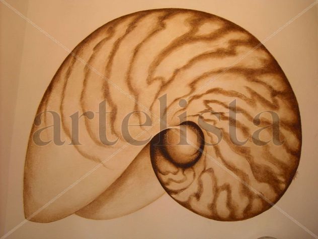 Nautilus