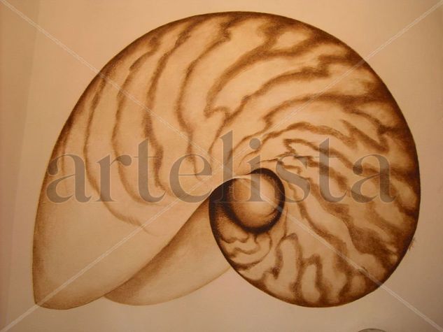 Nautilus Acrílico Otros Otros