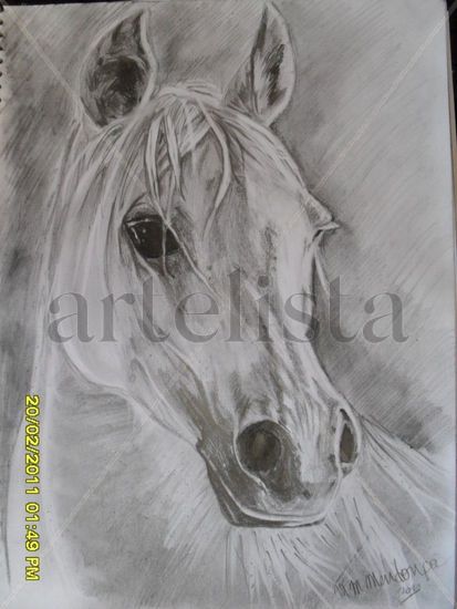 caballo blanco Pencil