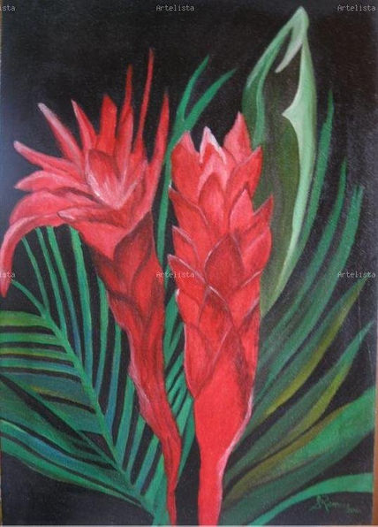 Flor ginger