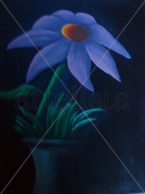 nocturna
