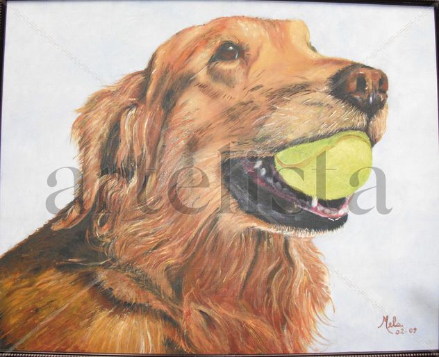 perro