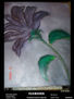 FLORECER