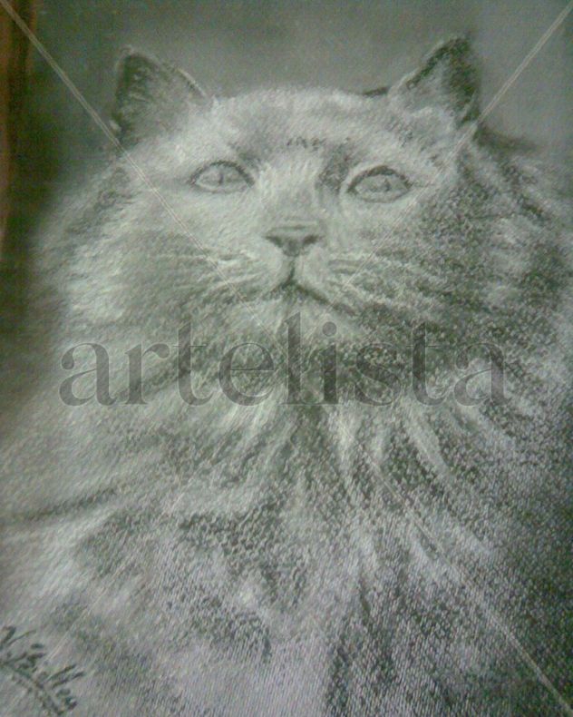 felino