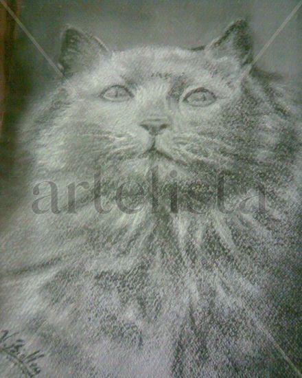 felino Pastel Panel Animals