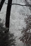 Fondo nevado
