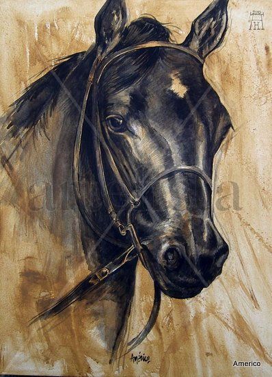 CABALLO Oil Canvas Animals