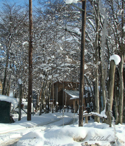 Calle nevada