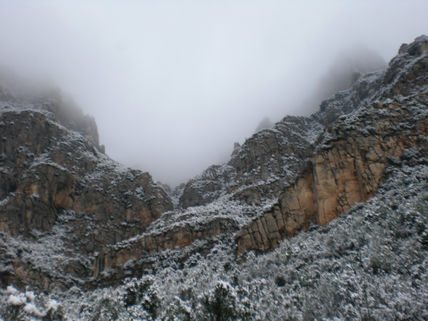 Montaña nevada I