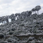 Nieve en Collbató thumbnail 2