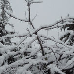 Nieve en Collbató thumbnail 1