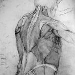 Cuaderno de Anatomia thumbnail 2
