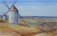 MOTA DEL CUERVO (CUENCA.)