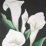 flores thumbnail 2