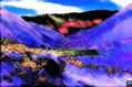 9889-Andes del sur nevados