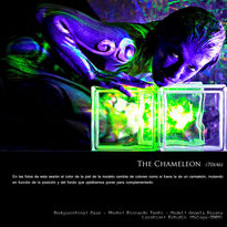 The chameleon