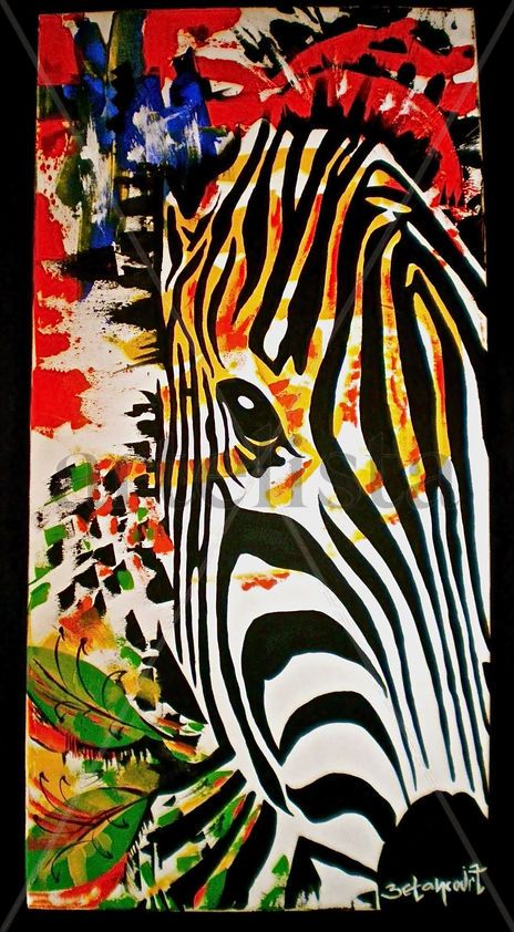 Wild zebra ***