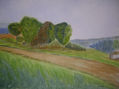 PAISAJE.11