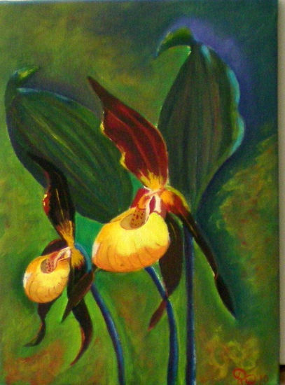 Orquidea "zapato de mujer" Acrylic Canvas Floral Painting