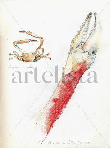 Hoja de campo 6