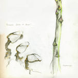 CIENCIAS NATURALEZA thumbnail 2