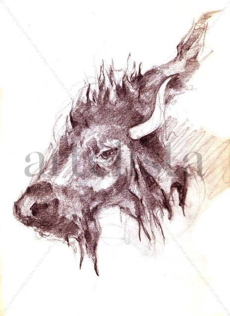 Bisonte
