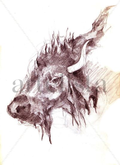 Bisonte Charcoal