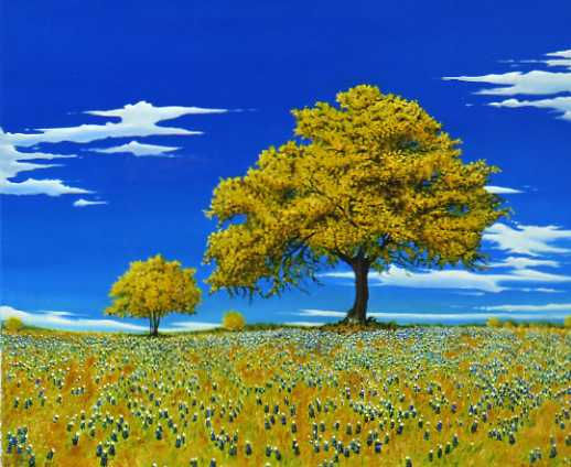 Mimosas Oil Canvas Landscaping