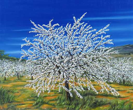 Cerezos en Bañeres Oil Canvas Landscaping