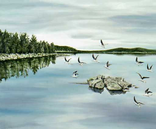 Mar en calma con gaviotas